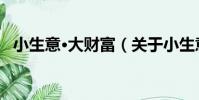 小生意·大財富(關于小生意·大財富簡介)