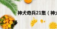 神犬奇兵21集(神犬奇兵2)