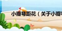 小瓣萼距花(關于小瓣萼距花簡介)