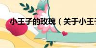 小王子的玫瑰(關于小王子的玫瑰簡介)