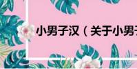 小男子漢(關于小男子漢簡介)