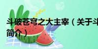 斗破蒼穹之大主宰(關于斗破蒼穹之大主宰的簡介)