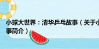 小球大世界:清華乒乓故事(關于小球大世界:清華乒乓故事簡介)