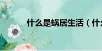什么是蝸居生活(什么是蝸居)