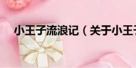 小王子流浪記(關于小王子流浪記簡介)
