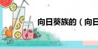 向日葵族的(向日葵族)
