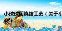 小球球團燒結工藝(關于小球球團燒結工藝簡介)