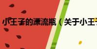 小王子的漂流瓶(關于小王子的漂流瓶簡介)