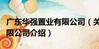 廣東華強置業有限公司(關于廣東華強置業有限公司介紹)