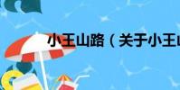 小王山路(關于小王山路簡介)
