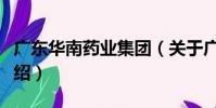 廣東華南藥業集團(關于廣東華南藥業集團介紹)