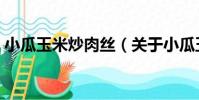 小瓜玉米炒肉絲(關于小瓜玉米炒肉絲簡介)