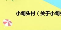 小甸頭村(關于小甸頭村簡介)
