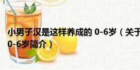 小男子漢是這樣養成的 0-6歲(關于小男子漢是這樣養成的 0-6歲簡介)