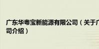 廣東華粵寶新能源有限公司(關于廣東華粵寶新能源有限公司介紹)