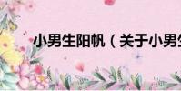 小男生陽帆(關于小男生陽帆簡介)