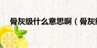 骨灰級什么意思啊(骨灰級是什么意思)