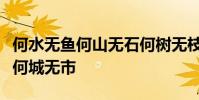 何水無魚何山無石何樹無枝何人無婦何女無夫何城無市