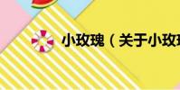 小玫瑰(關于小玫瑰簡介)