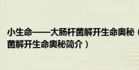 小生命——大腸桿菌解開生命奧秘(關于小生命——大腸桿菌解開生命奧秘簡介)