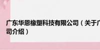 廣東華恩橡塑科技有限公司(關于廣東華恩橡塑科技有限公司介紹)