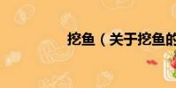 挖魚(關于挖魚的簡介)