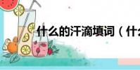 什么的汗滴填詞(什么的汗滴)