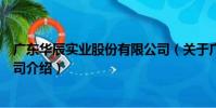 廣東華辰實業股份有限公司(關于廣東華辰實業股份有限公司介紹)