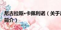 尼古拉斯·卡佩利諾(關于尼古拉斯·卡佩利諾簡介)