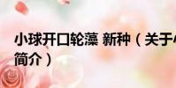 小球開口輪藻 新種(關于小球開口輪藻 新種簡介)