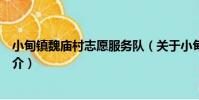 小甸鎮魏廟村志愿服務隊(關于小甸鎮魏廟村志愿服務隊簡介)