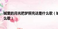 城里的月光把夢照亮這是什么歌(城里的月光把夢照亮是什么歌)