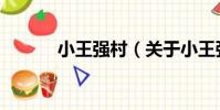 小王強村(關于小王強村簡介)