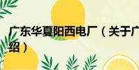 廣東華夏陽西電廠(關于廣東華夏陽西電廠介紹)