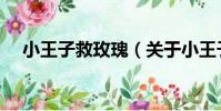 小王子救玫瑰(關于小王子救玫瑰簡介)