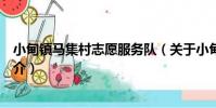 小甸鎮馬集村志愿服務隊(關于小甸鎮馬集村志愿服務隊簡介)