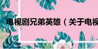 電視劇兄弟英雄(關于電視劇兄弟英雄的簡介)