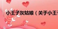 小王子灰姑娘(關于小王子灰姑娘簡介)