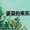 盛夏的果實原唱歌詞（盛夏的果實原唱）