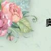 奧利為什么是狗屎？