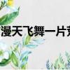 漫天飛舞一片荒蕪滿眼風雪和眼淚都化作塵埃