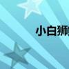 小白獅鲉（關于小白獅鲉簡介）