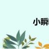 小瞬吧（關于小瞬吧簡介）