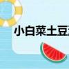 小白菜土豆湯（關于小白菜土豆湯簡介）