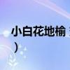 小白花地榆 變種（關于小白花地榆 變種簡介）