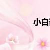 小白藥（關于小白藥簡介）