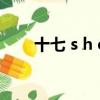 十七 s h e（關于十七 s h e的簡介）