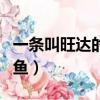 一條叫旺達的魚電影故事梗概（一條叫旺達的魚）