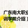 廣東南大職業培訓學院（關于廣東南大職業培訓學院介紹）