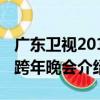 廣東衛視2013跨年晚會（關于廣東衛視2013跨年晚會介紹）